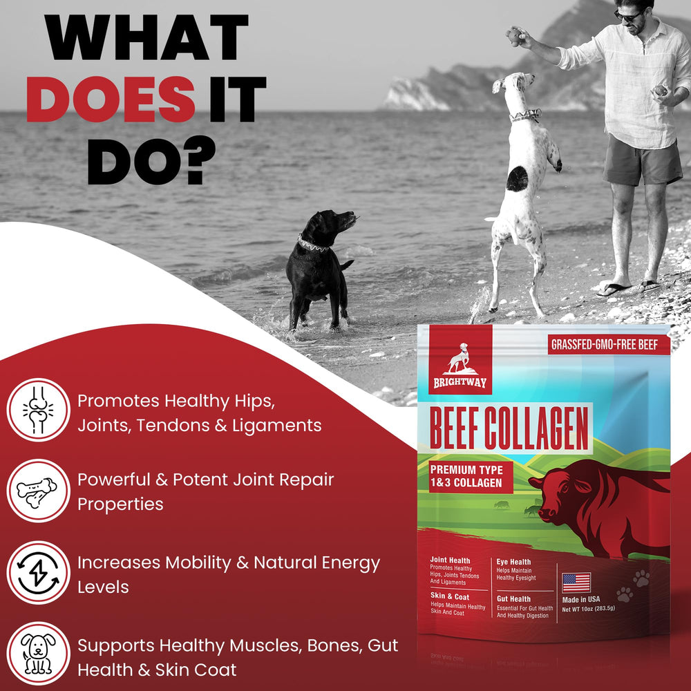 Brightway Pets Grass-Fed Collagen for Dogs ingredients label highlights Type 1 and 3 collagen without fillers