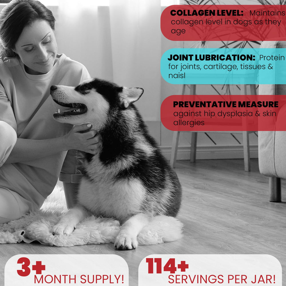 Brightway Pets Grass-Fed Collagen for Dogs joint mobility visual highlights mobility support