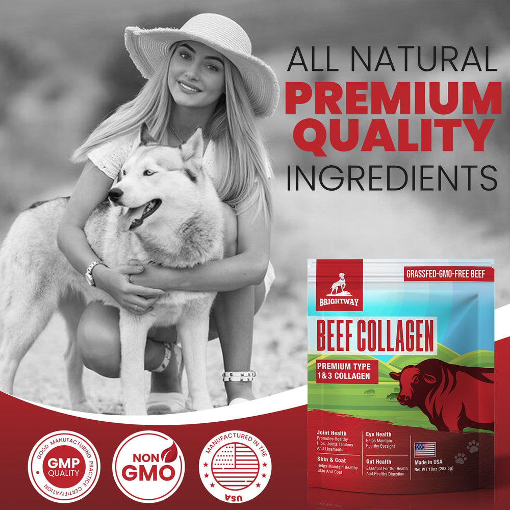 Brightway Pets Grass-Fed Collagen for Dogs meal bowl shows collagen mixed with dog food