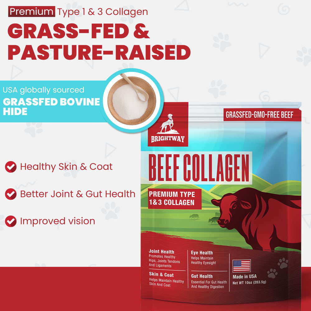 Brightway Pets Grass-Fed Collagen for Dogs serving spoon demonstrates easy daily mixing