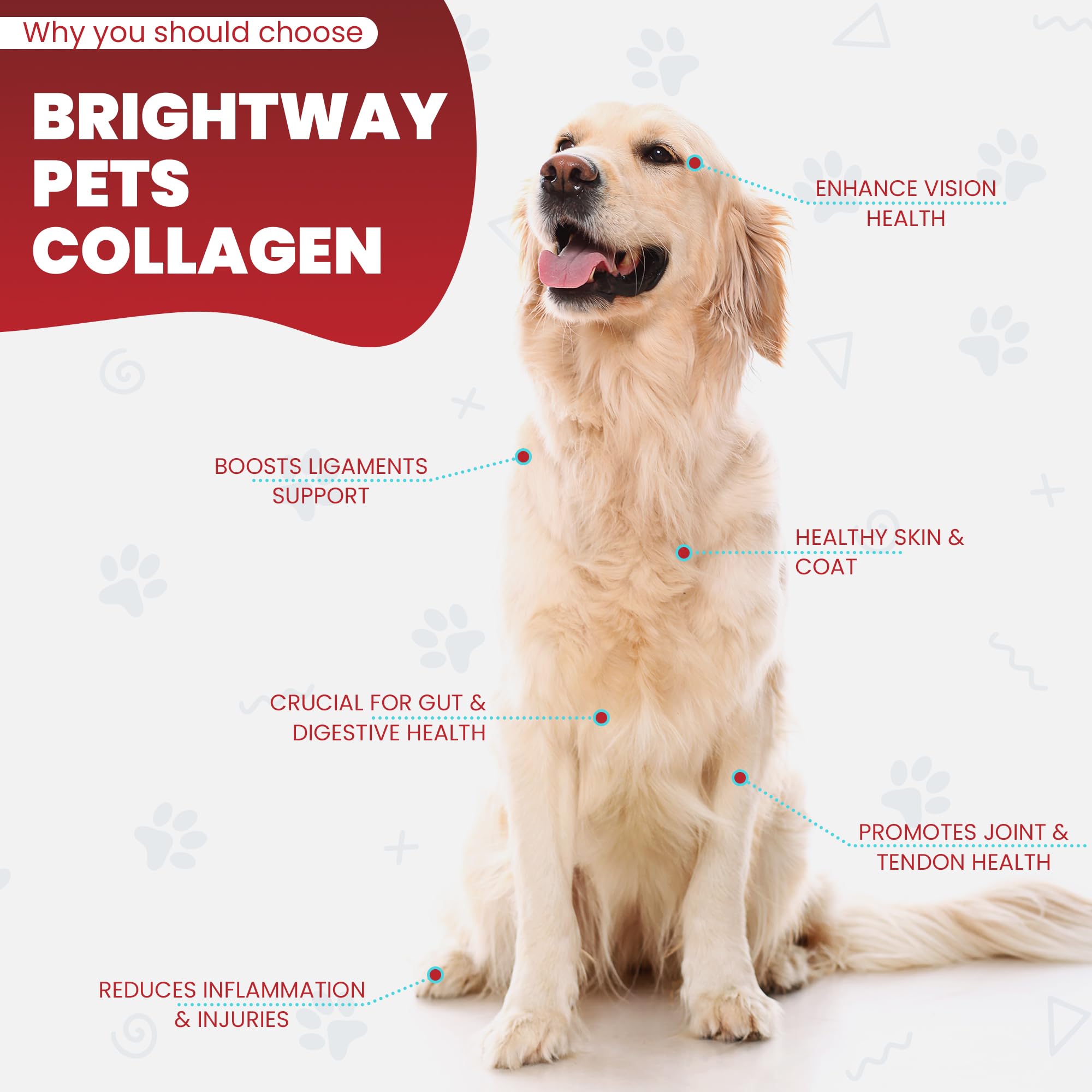 Brightway Pets Grass-Fed Collagen for Dogs USA facility stamp emphasizes American manufacturing quality