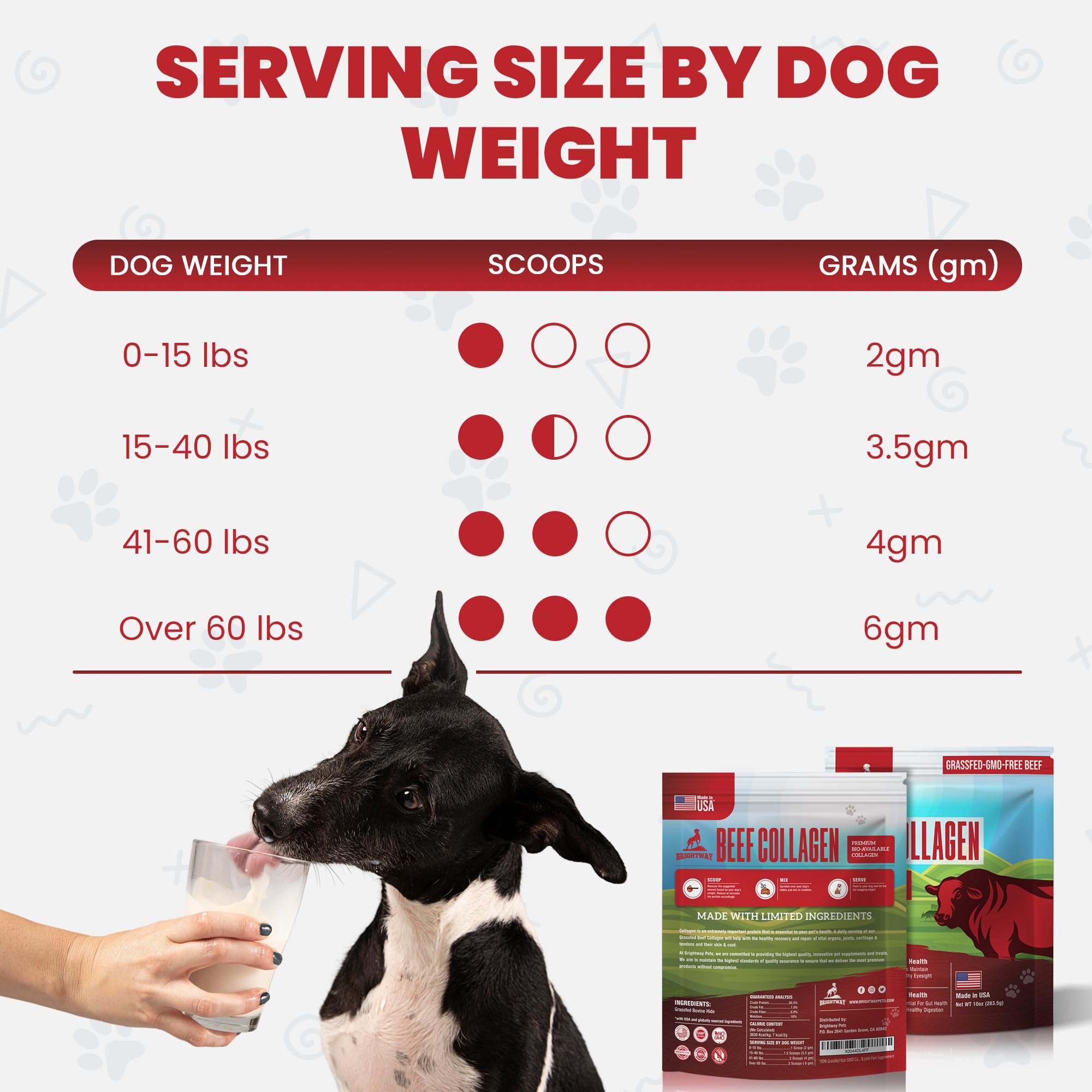 Brightway Pets Grass-Fed Collagen for Dogs vitality closeup after use suggests increased energy