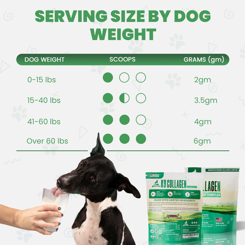 Brightway Pets K9 Collagen Peptide Complex dog-use setup illustrates everyday supplement routine.