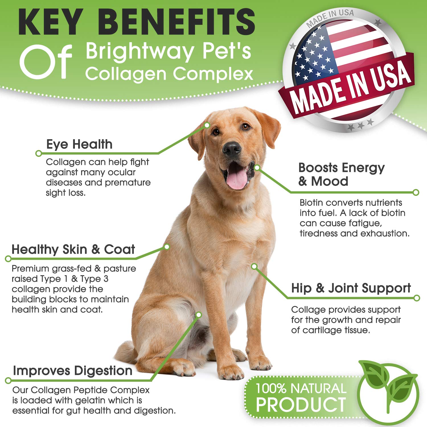 Brightway Pets K9 Collagen Peptide Complex scoop with powder emphasizes easy mixing.