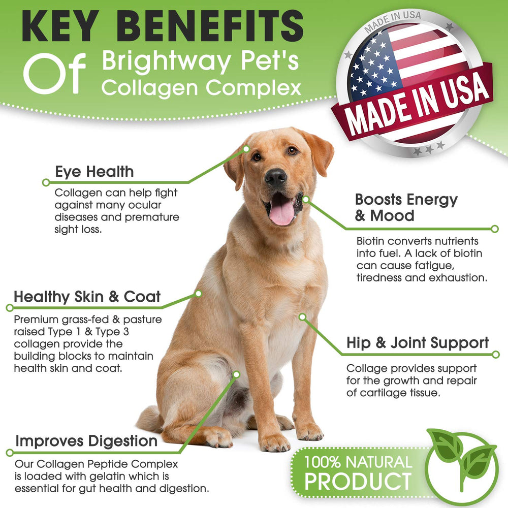 Brightway Pets K9 Collagen Peptide Complex scoop with powder emphasizes easy mixing.