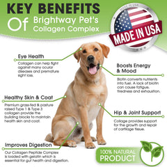 Brightway Pets K9 Collagen Peptide Complex scoop with powder emphasizes easy mixing.