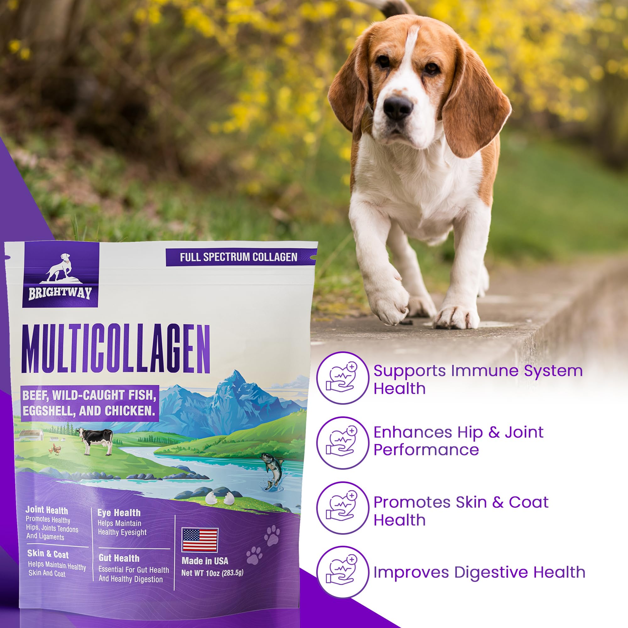 Brightway Pets wild pollock collagen illustration indicating diverse collagen sources.
