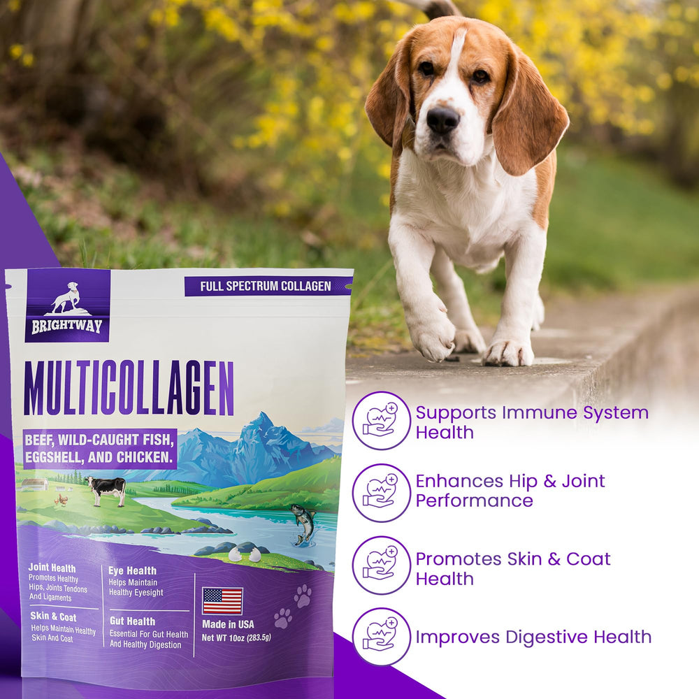 Brightway Pets wild pollock collagen illustration indicating diverse collagen sources.
