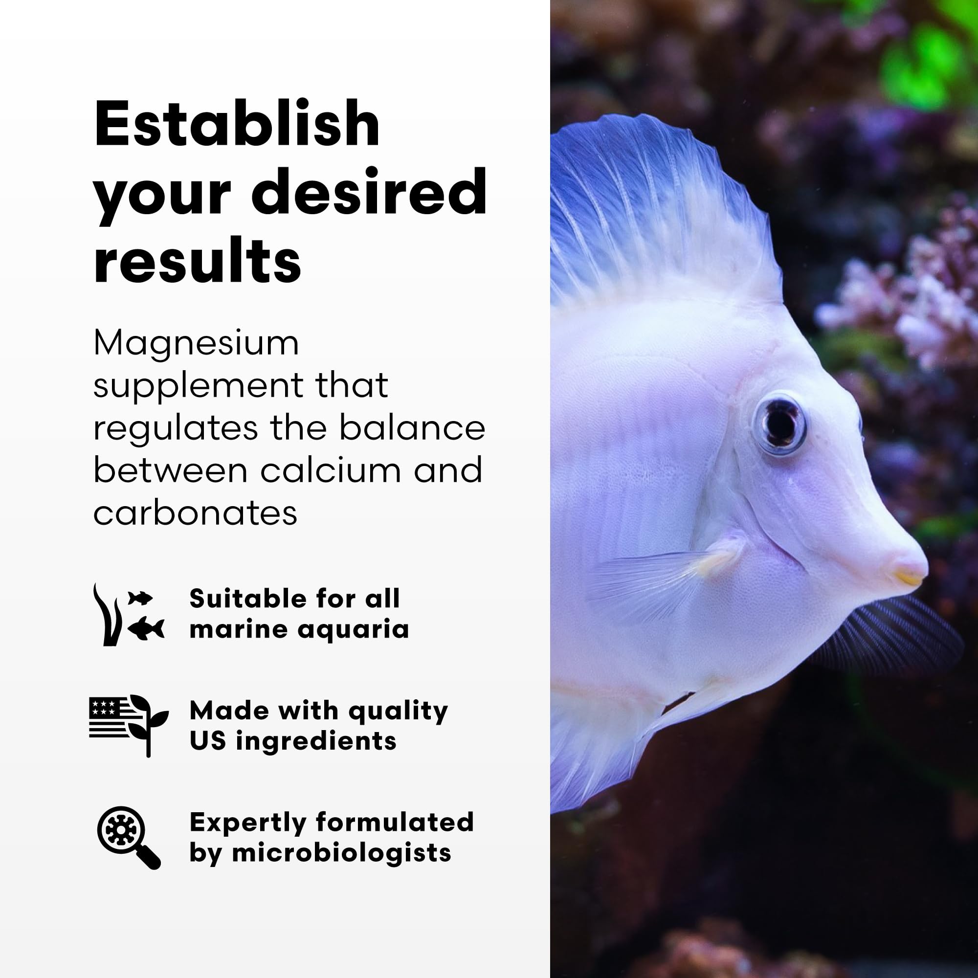 Brightwell Aquatics Magnesion dosing spoon demonstrates easy measurement for stable magnesium levels.