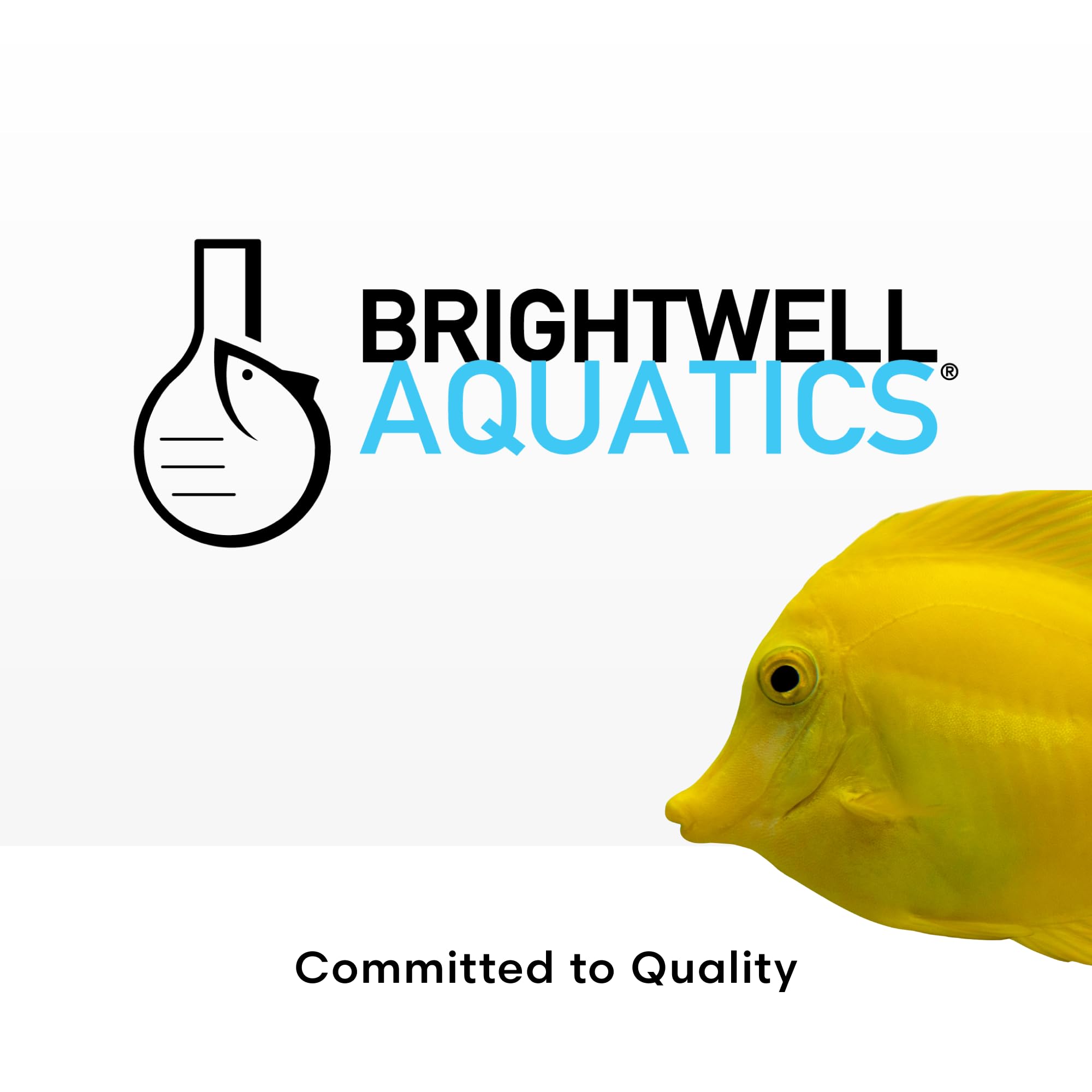 Brightwell Aquatics Magnesion added to a thriving coral reef tank.