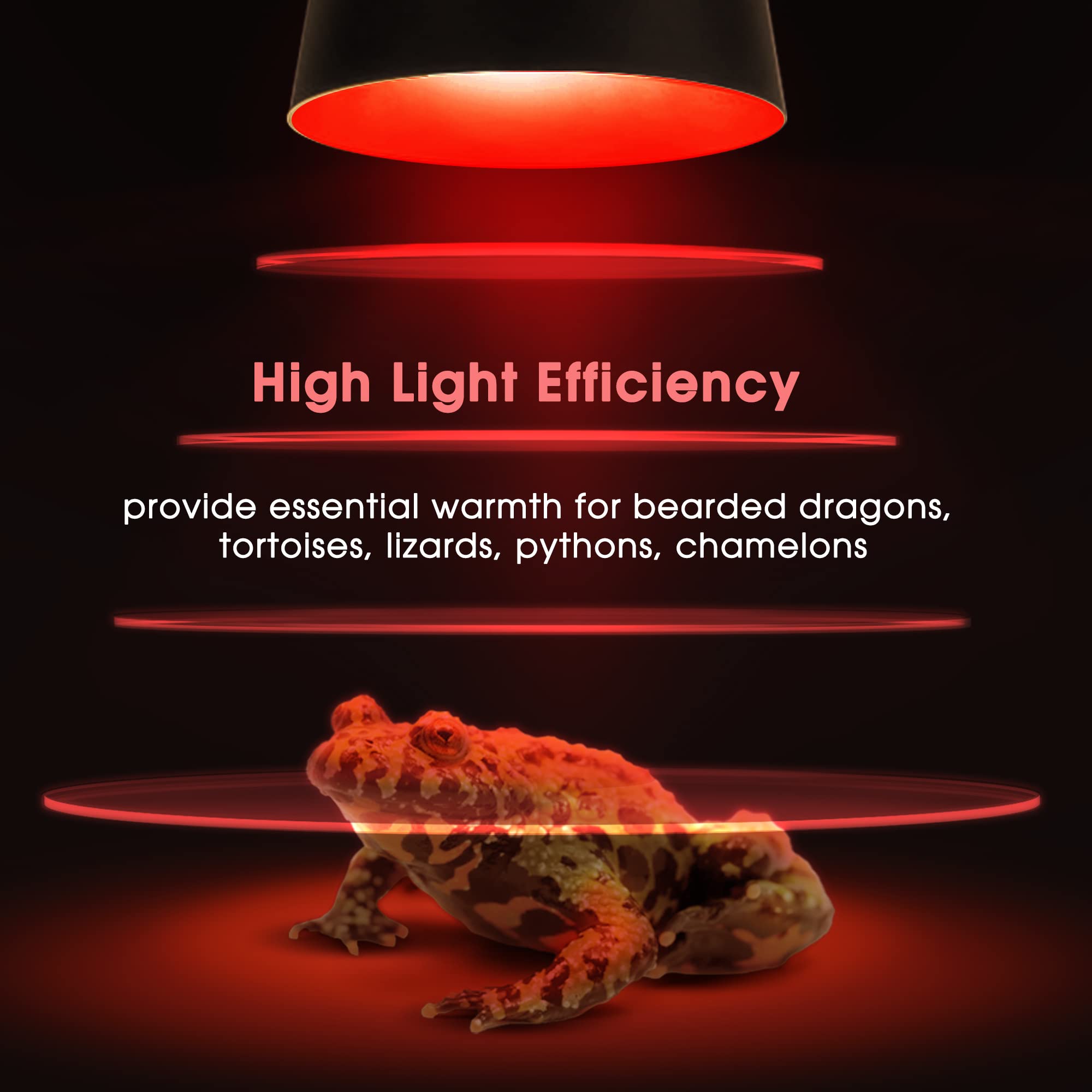 Briignite 2-pack reptile light bulbs offer flexible terrarium setups