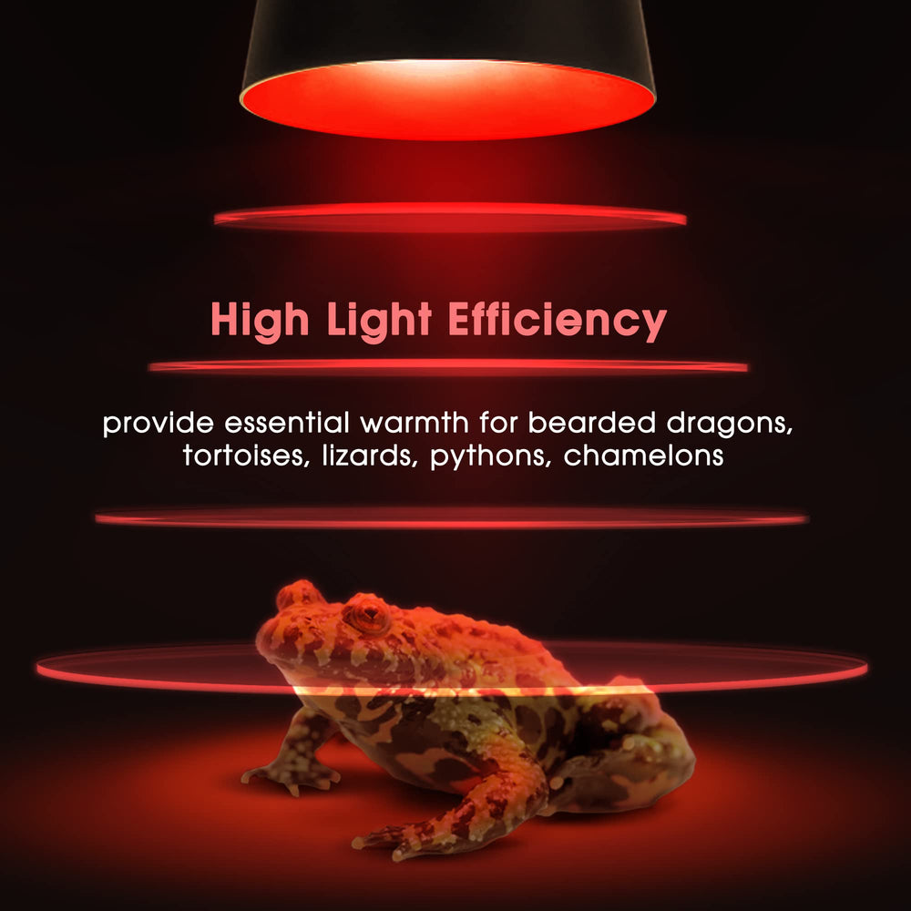 Briignite 2-pack reptile light bulbs offer flexible terrarium setups