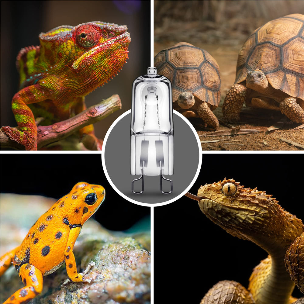 Briignite bearded dragon gecko heat-spot supports daytime basking behavior.
