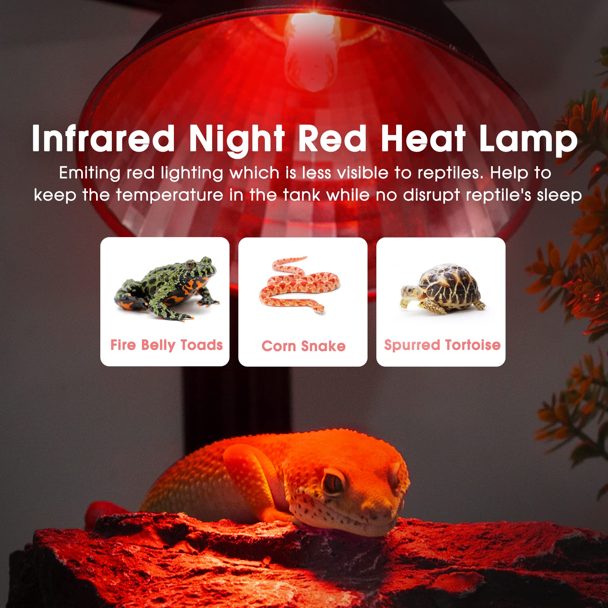 Briignite dimmable heat lamp demonstrates adjustable brightness and temperature
