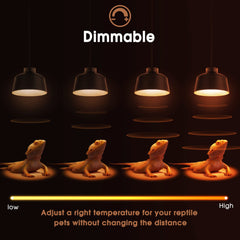 Briignite G9 base enables easy installation in various enclosures and fixtures.