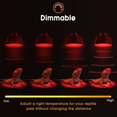 Briignite G9 base two-pin installation with easy fit