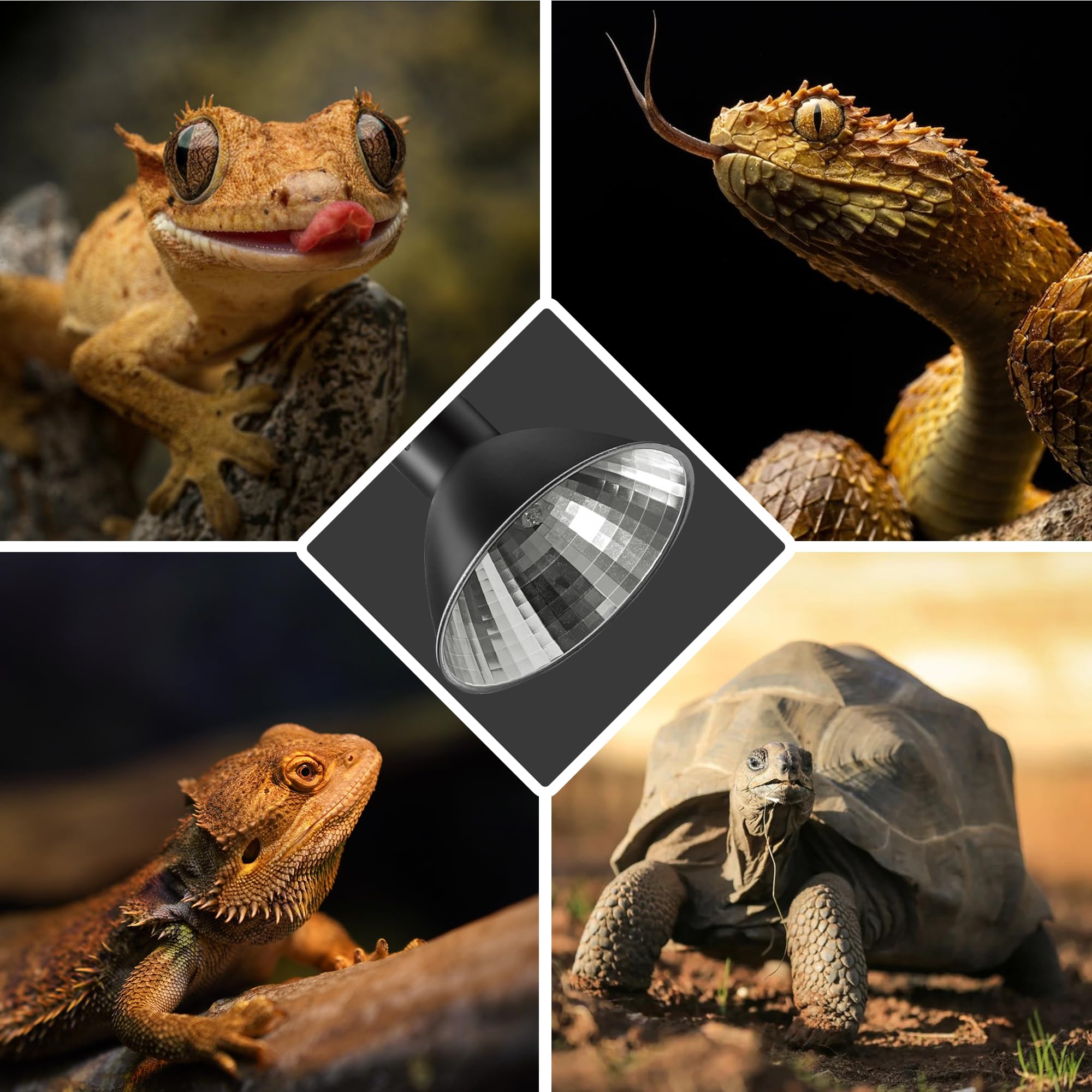 Briignite heat lamp pack contents include bulbs and reflector for quick setup.