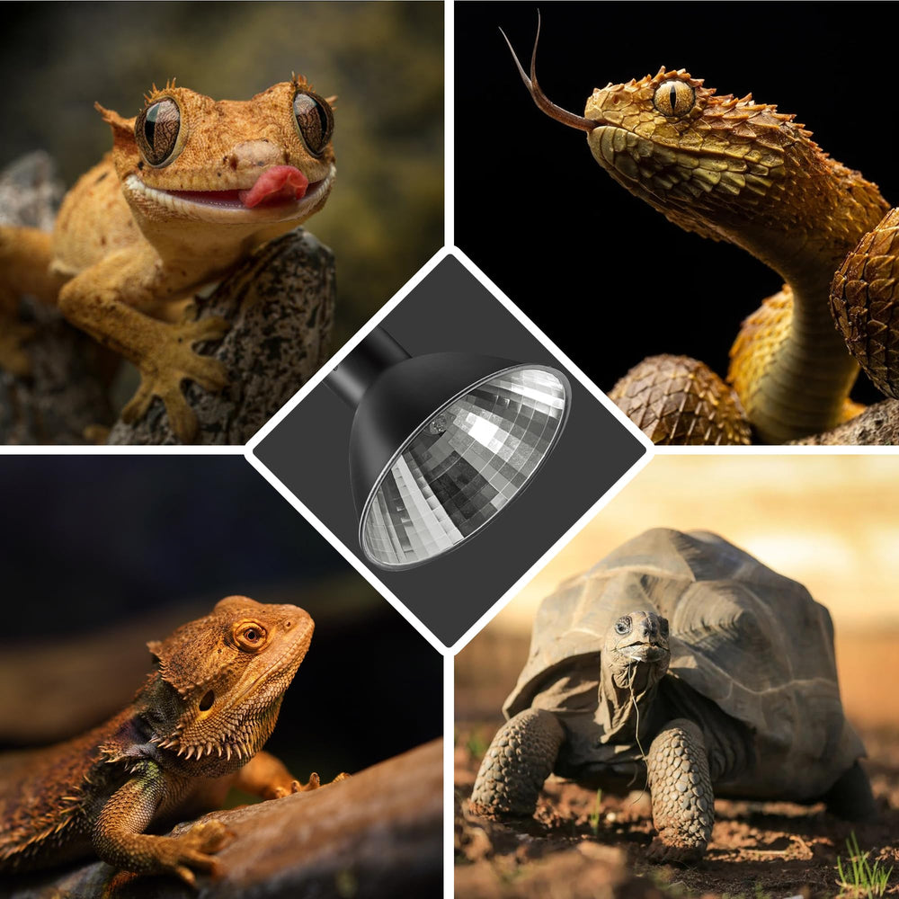 Briignite heat lamp pack contents include bulbs and reflector for quick setup.