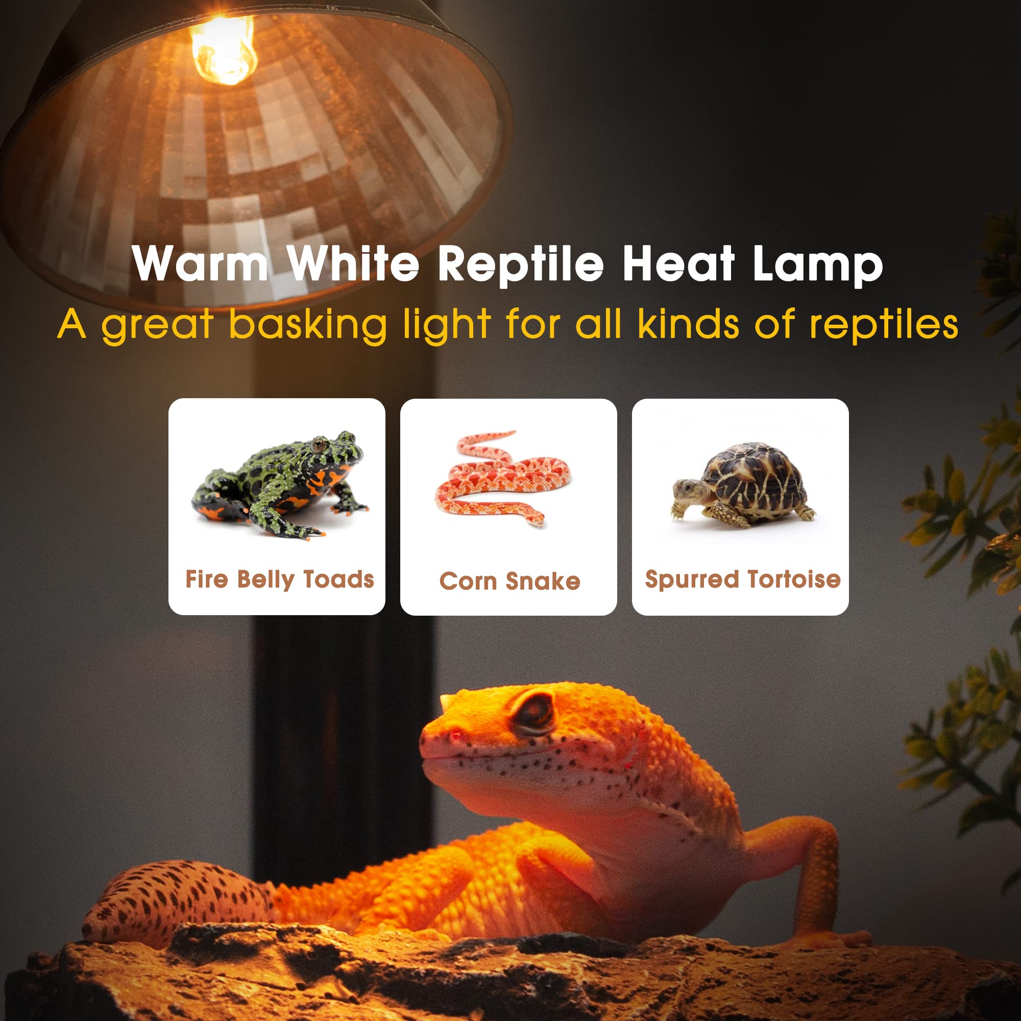 Briignite mini heat bulb fits compact habitats for bearded dragons and geckos.