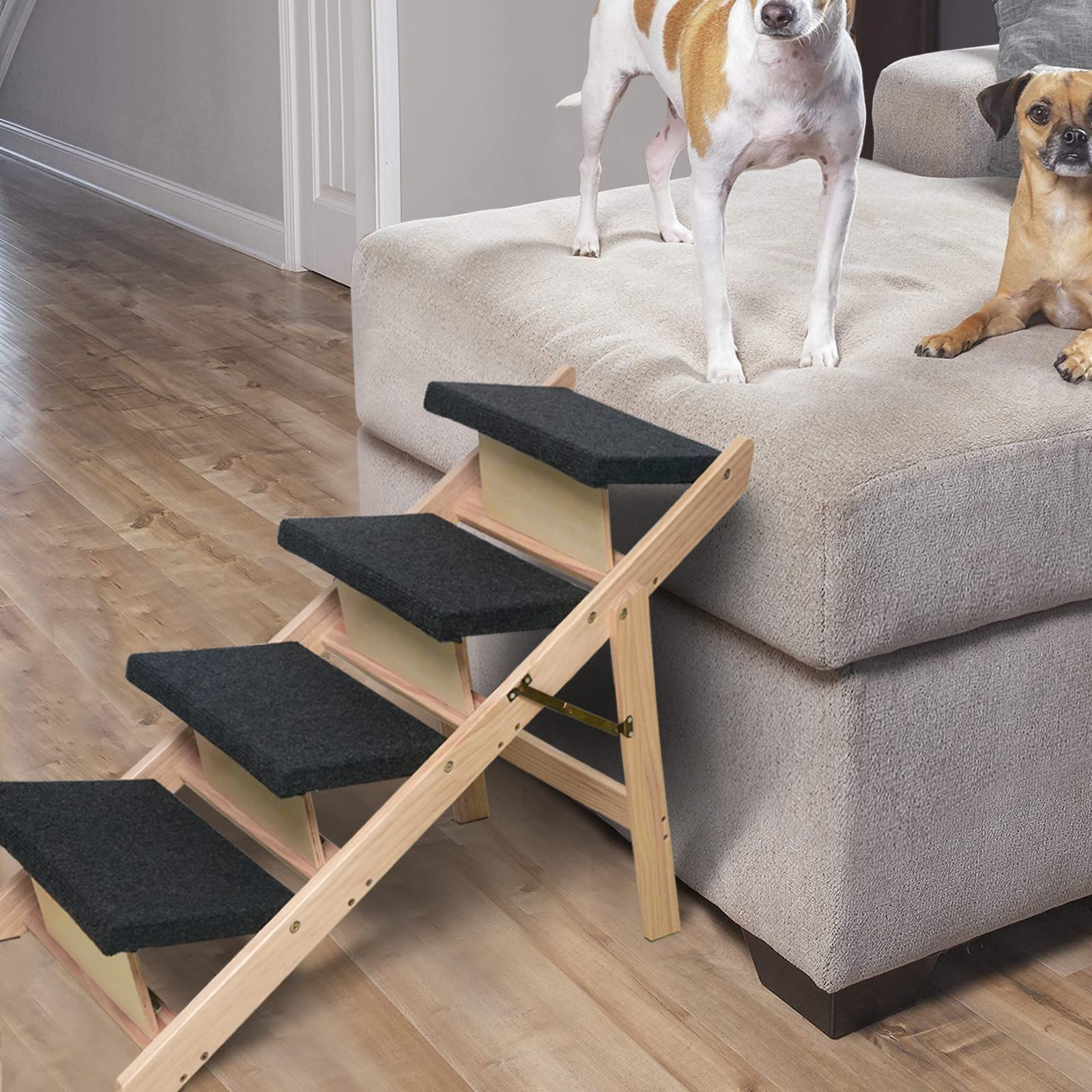 BRIKY weight-capacity-110-lbs shows support for small to large dogs.