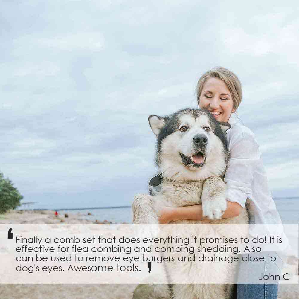 BRILLIRARE stainless-steel teeth: durable, rust-resistant for long-term pet care.