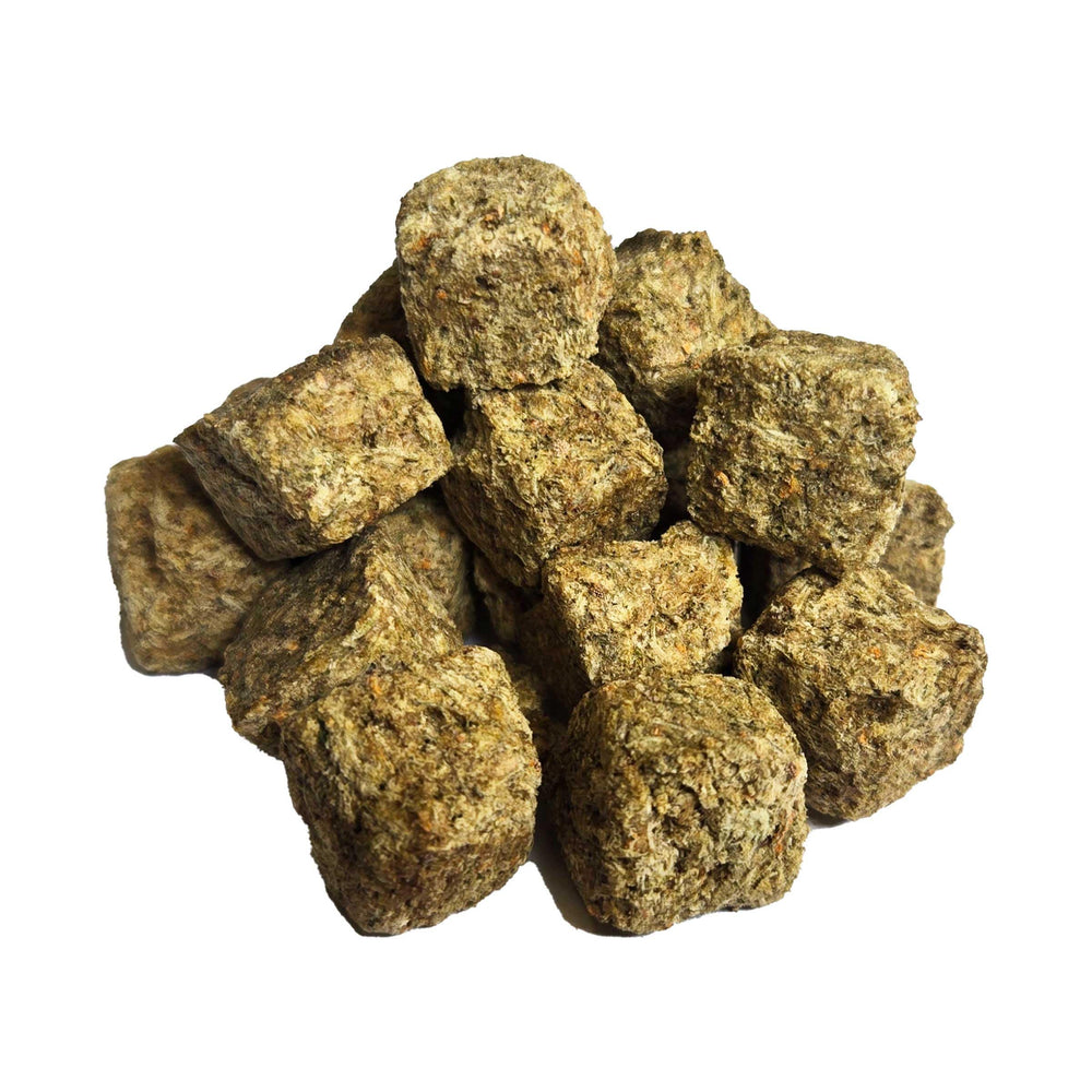 Brine Shrimp Direct cubes closeup; buoyant, water-stable feed supports easy feeding.