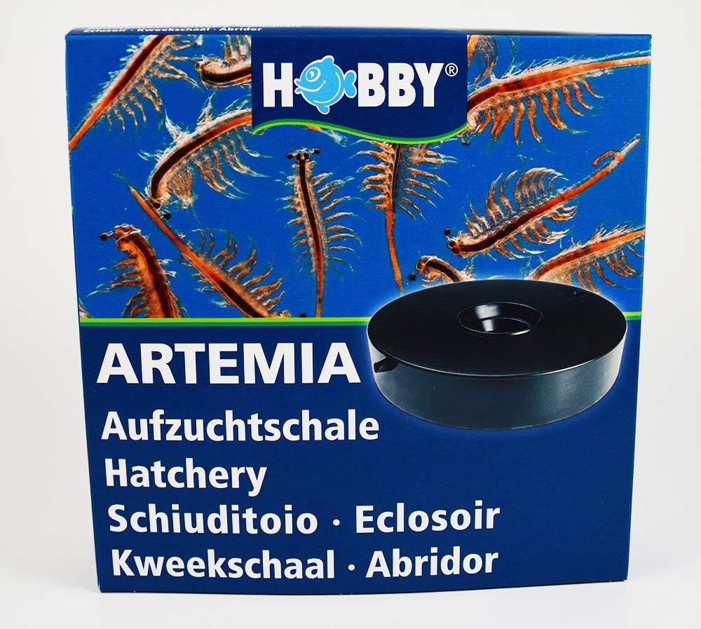 Brine Shrimp Direct hatchery yields over 100k baby brine shrimp in 24 hours.