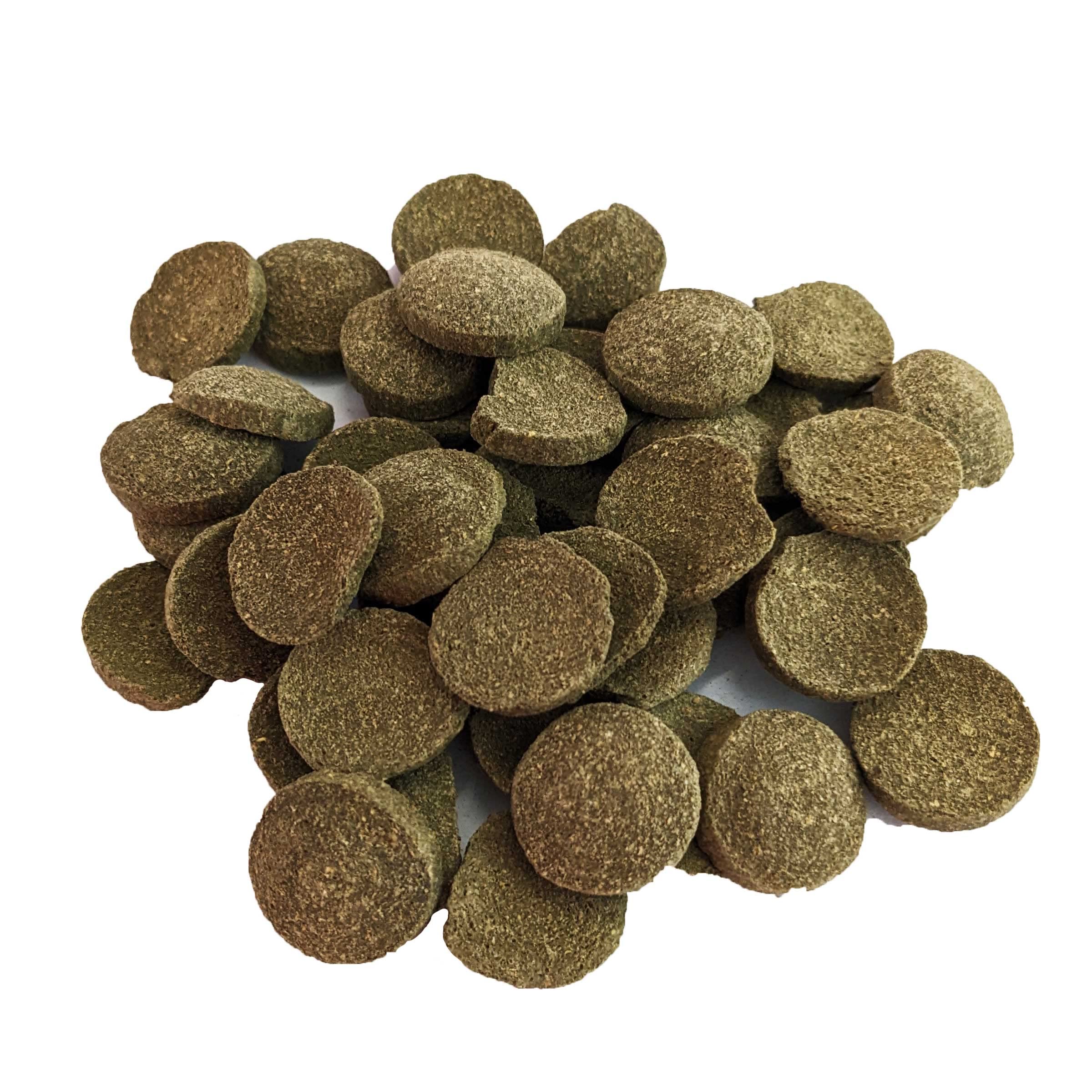Brine Shrimp Direct PhytoDisc Plus close-up shows spirulina wafers ideal for plecostomus and catfish.