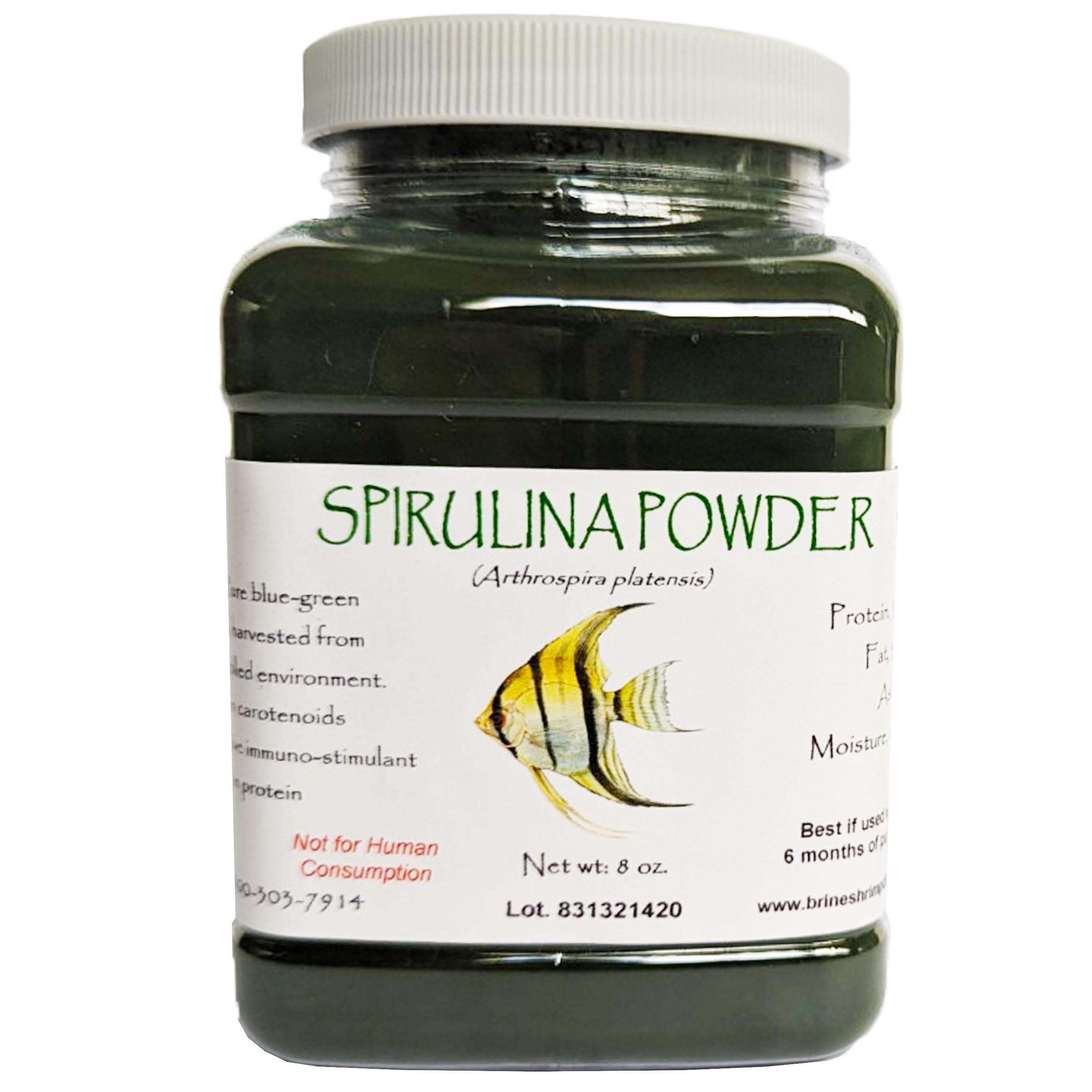 Brine Shrimp Direct Spirulina Powder jar front shows color-enhancing algae for vibrant fish