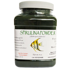 Brine Shrimp Direct Spirulina Powder jar front shows color-enhancing algae for vibrant fish