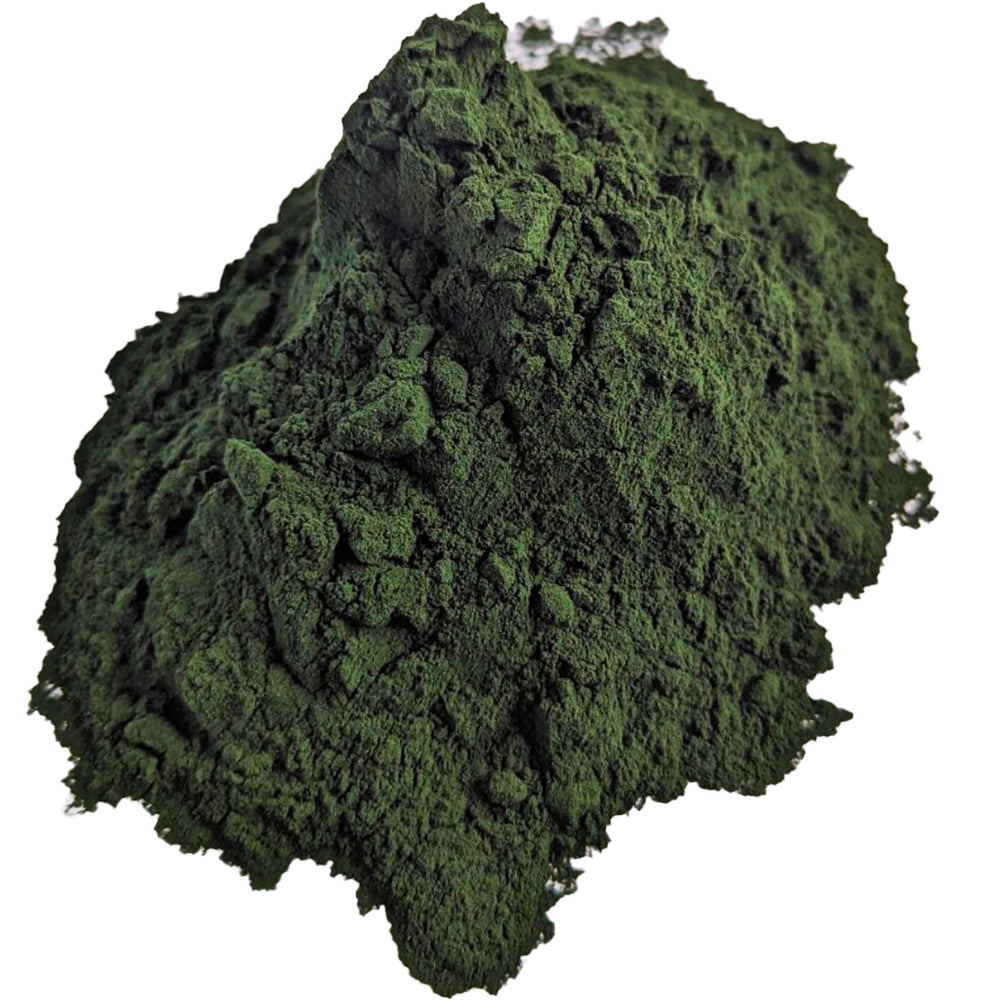 Brine Shrimp Direct Spirulina Powder premix-mixer demonstrating mixing preparation for feed dispersion