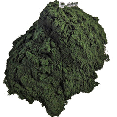 Brine Shrimp Direct Spirulina Powder premix-mixer demonstrating mixing preparation for feed dispersion