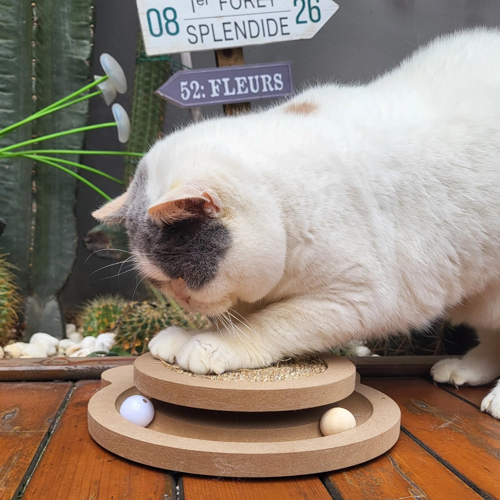 Britepaws cat track balls show rolling toy action for indoor hunting play
