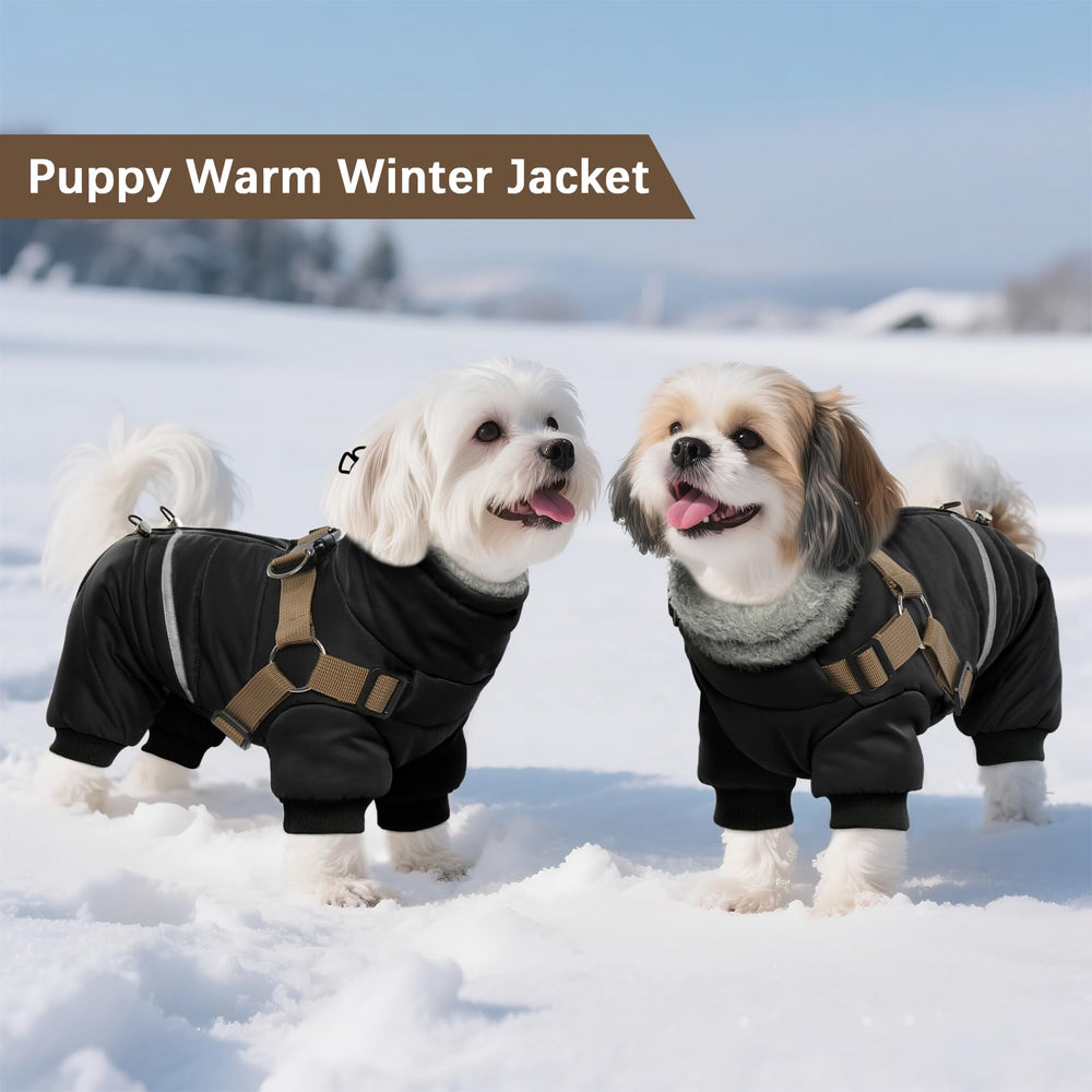 BRKURLEG back zipper enables easy wearing, ideal for anxious or wriggly pets.