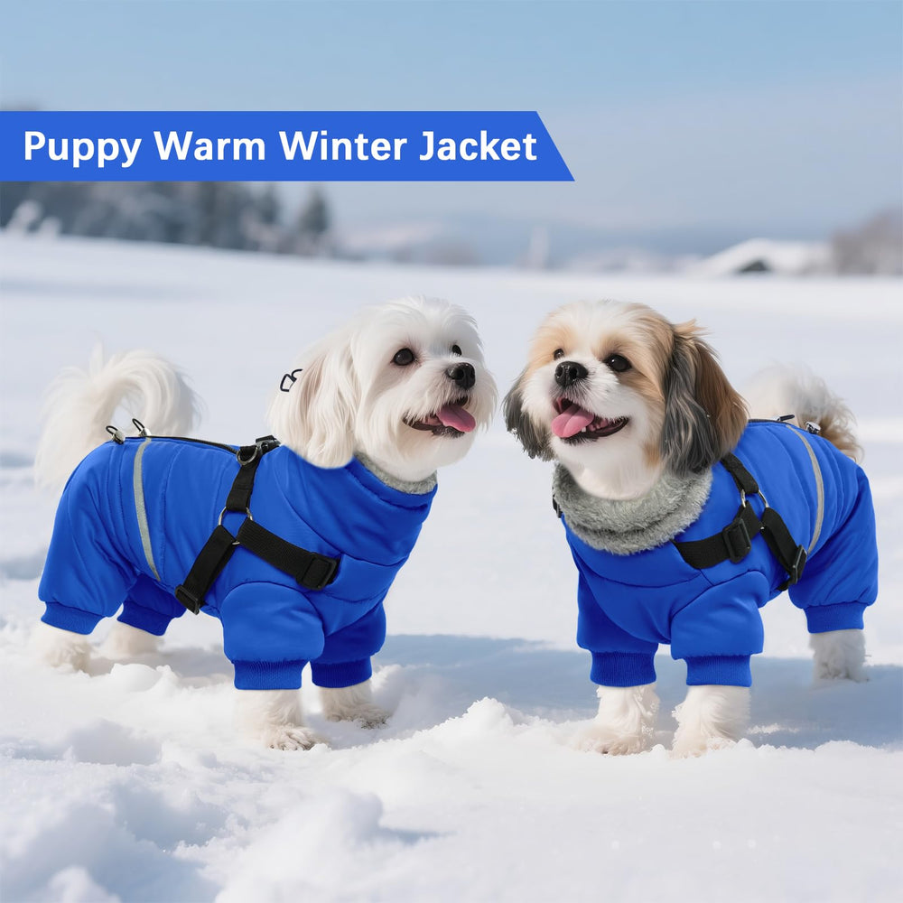 BRKURLEG Blue Dog Winter Coat adjustable buckles for a snug custom fit.
