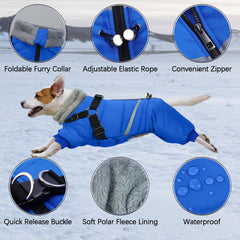 BRKURLEG Blue Dog Winter Coat with harness D-ring demonstrates secure leash attachment.