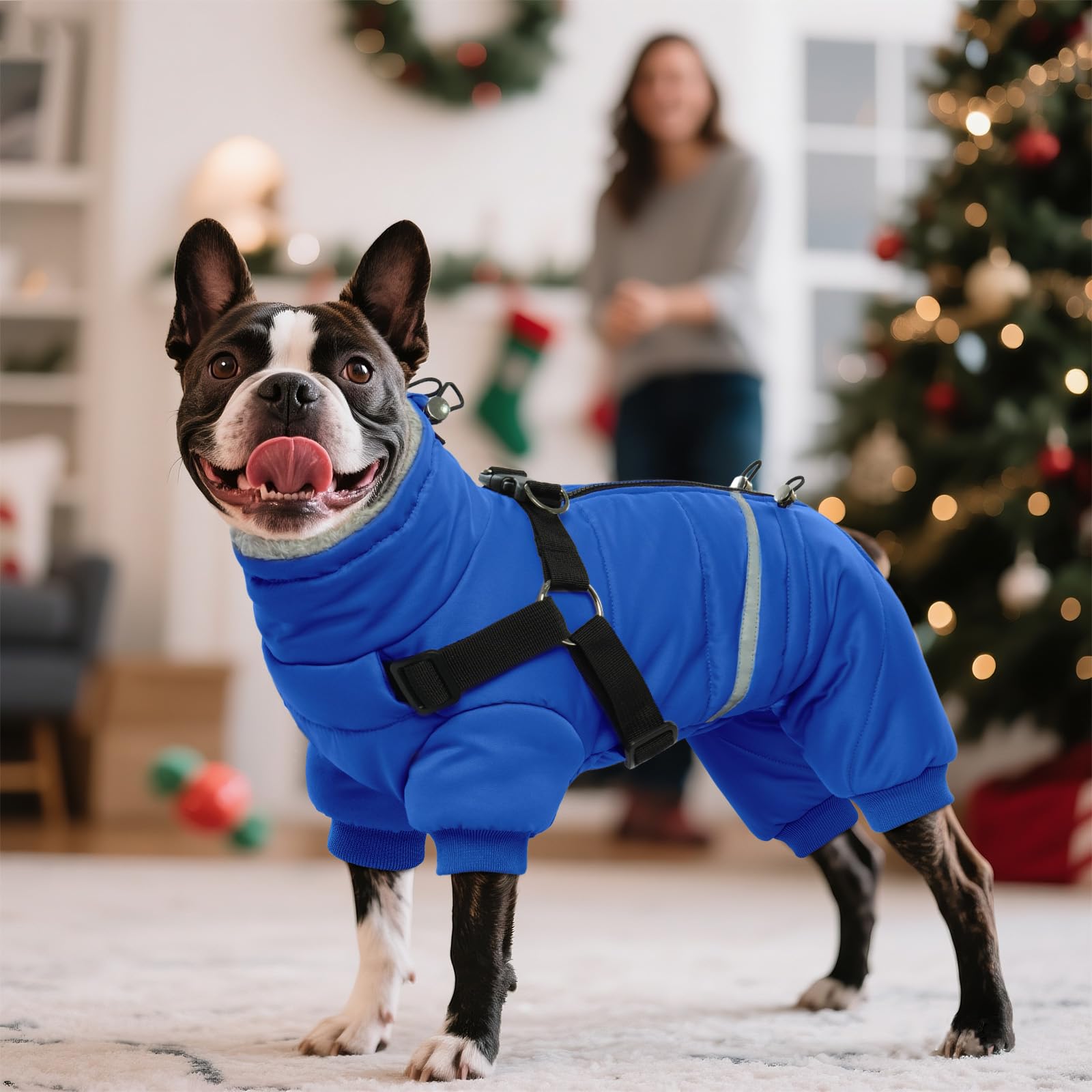 BRKURLEG Blue Dog Winter Coat size chart helps find the right fit.