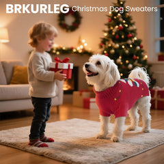 BRKURLEG Christmas dog sweater on dachshund shows festive comfort during winter walks
