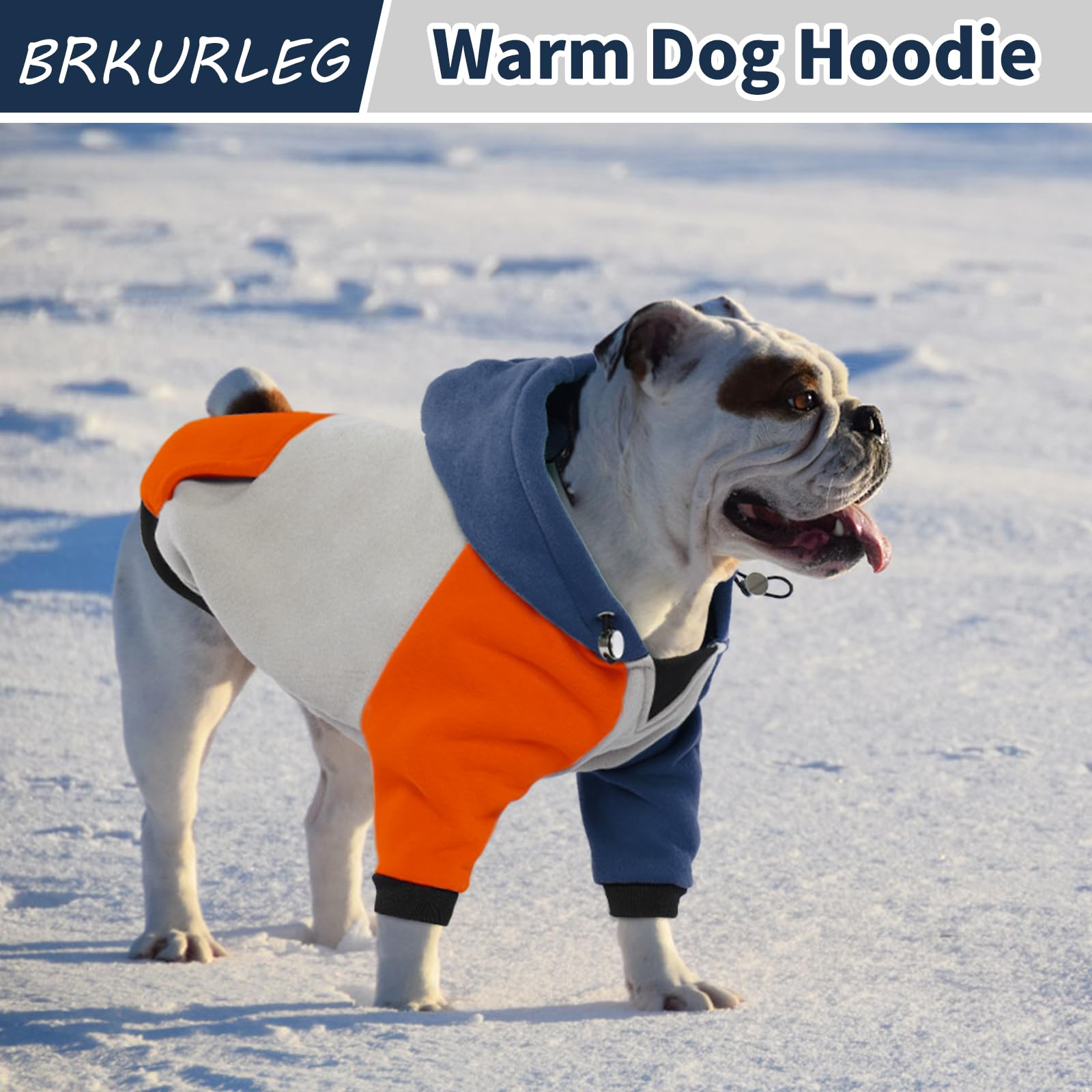 BRKURLEG dog hoodie worn outdoors for cozy autumn or winter outings.