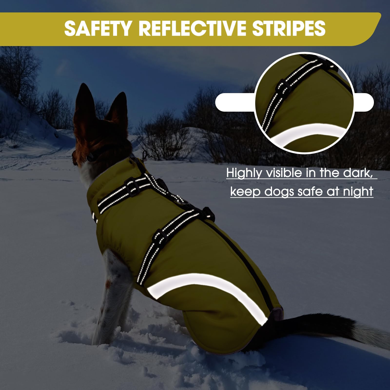 BRKURLEG dog winter jacket D-ring buckle supports leash control