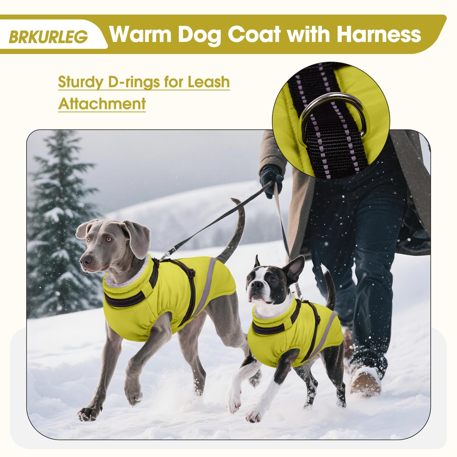 BRKURLEG dog winter jacket with soft cotton lining traps warmth indoors