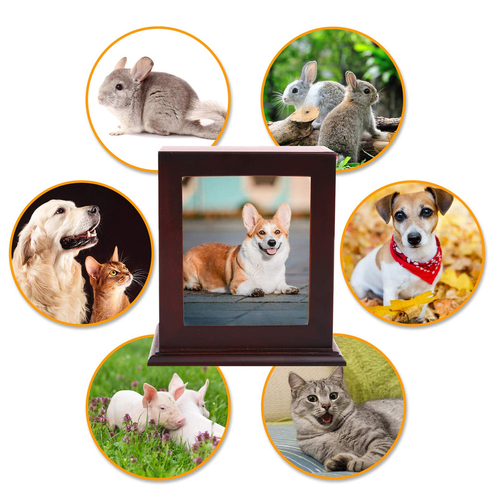 BRKURLEG photo display urn front frame highlights memory-friendly design.