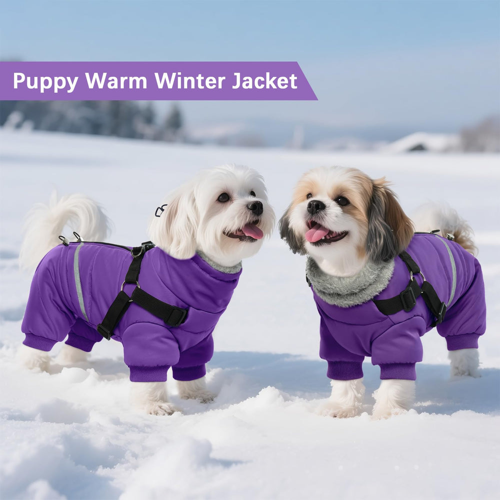 BRKURLEG purple coat built-in harness with D-ring for sturdy leash attachment.