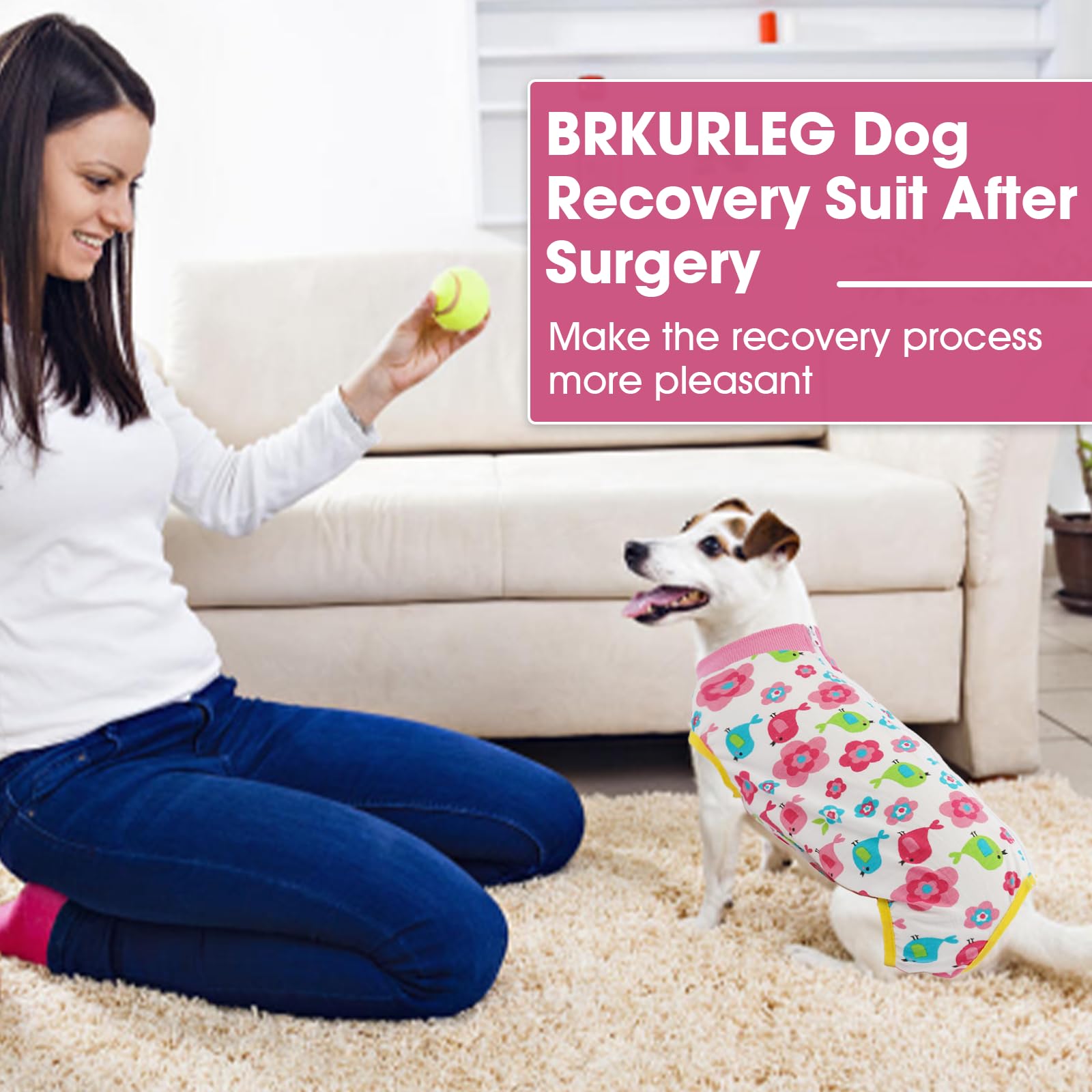 BRKURLEG Recovery Suit dog sleeping calmly after wearing for recovery.