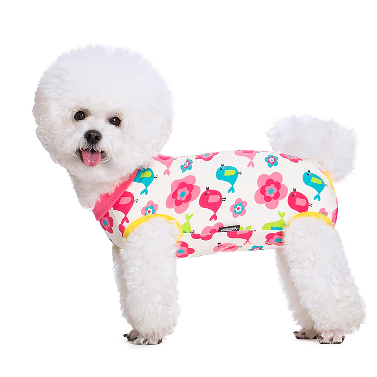 BRKURLEG Recovery Suit fits both male and female dogs from sizes chart.