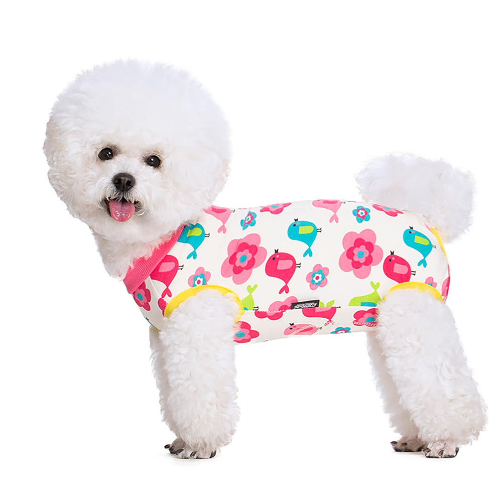 BRKURLEG Recovery Suit fits both male and female dogs from sizes chart.