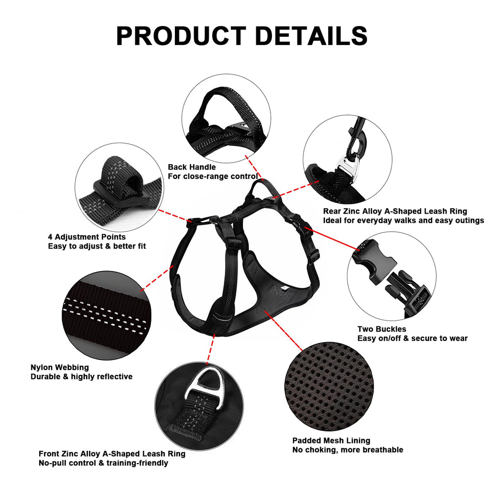 BROUAURPE reflective-walk harness enhances visibility for safer evening outings.