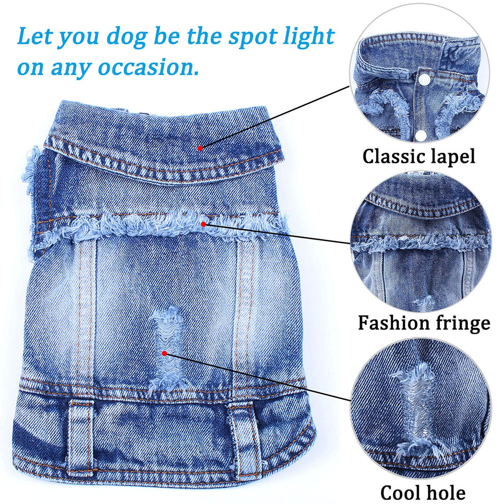 Brocarp Dog Jean Jacket on puppy demonstrates easy on/off snaps for busy owners