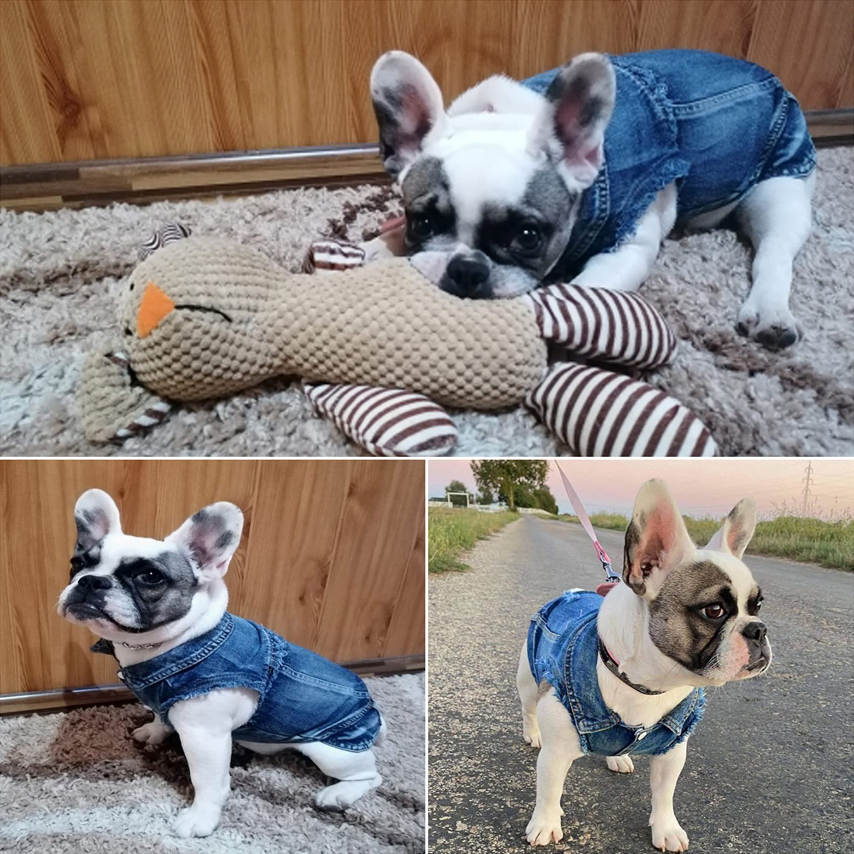 Brocarp Dog Jean Jacket size chart helps pick the right fit