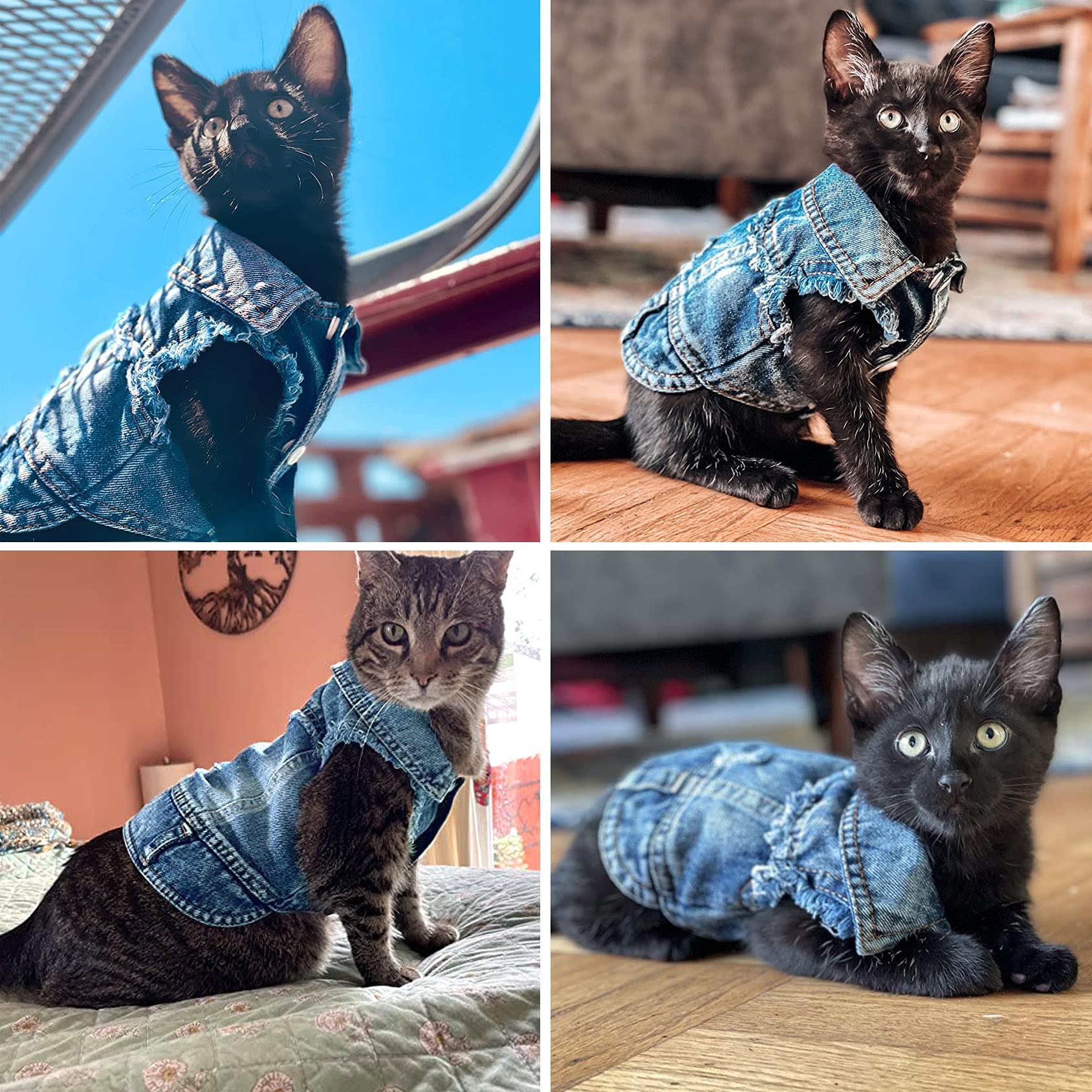 Brocarp Dog Jean Jacket weekend-wear versatility for walks and play